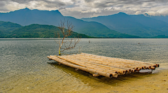 Bamboo Raft On The Lake By The Dead Tree