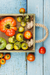 Set of ripe tomatoes in the wooden tray, light blue wooden background