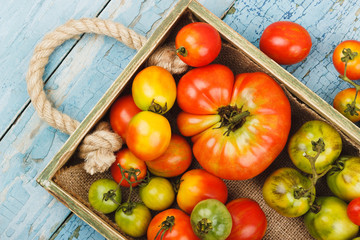 Set of ripe tomatoes in the wooden tray, light blue wooden background
