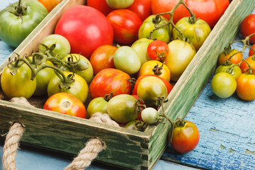 Set of ripe tomatoes in the wooden tray, blurred background