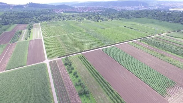 Flug &uuml;ber Felder