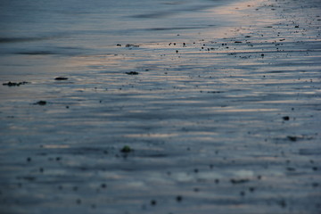 Beach reflection during sunset