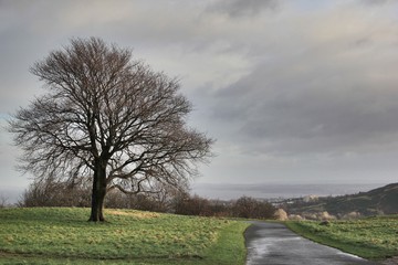 Obraz premium Winter road