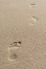 Fototapeta na wymiar Footprints on the sand of the beach