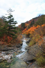 川原毛遊歩道の風景（秋田県湯沢市）