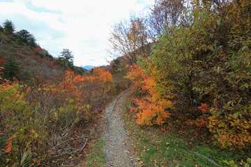 川原毛遊歩道の風景（秋田県湯沢市）