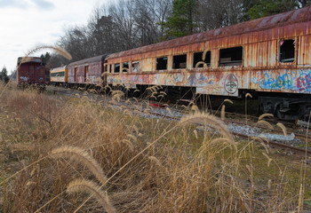 abandoned trains