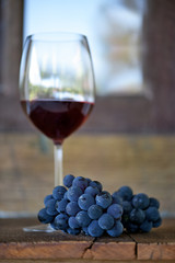 Glass of red wine and grape bunch