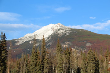 Snow On The Peak, Jasper National Park, Alberta