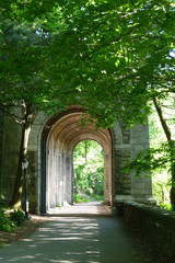 Arch in the Park