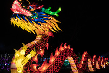 Chinese New Years Lanterns