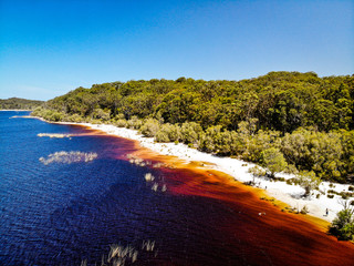Lake Boomanjin on Fraser Island on a sunny day. The lake is red from the tea tree oil