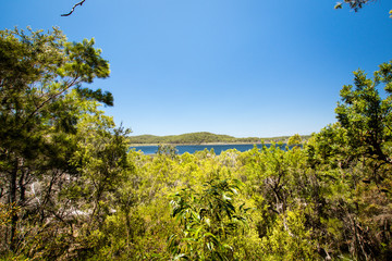 Lake Wabby On Fraser Island, Australia, on A Sunny Day