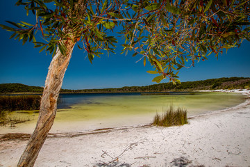 Lake Garawongera on Fraser Island, Australia, on a sunny day