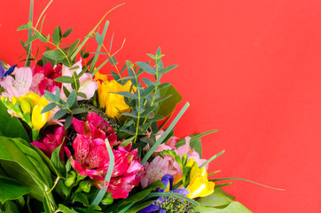 Gift bouquet of fresh flowers on red background