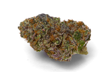 Close up of Kush OG  prescription medical marijuana and recreational weed hybrid strain sticky flower bud isolated on a white background