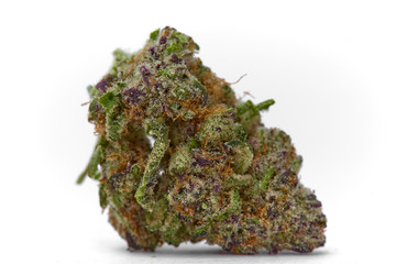 Close up of Kush OG  prescription medical marijuana and recreational weed hybrid strain sticky flower bud isolated on a white background