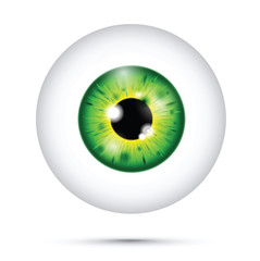yellow and green realistic eyeball