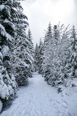 2018-12 Winterurlaub