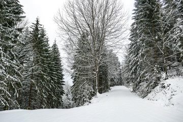 Fototapeta premium 2018-12 Winterurlaub