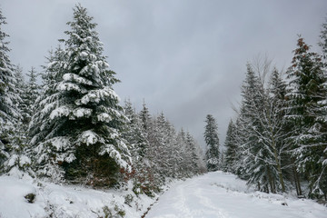 2018-12 Winterurlaub