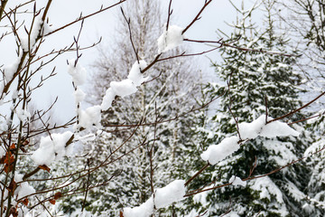 2018-12 Winterurlaub