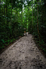 Cities of Brazil - Manaus, Amazonas - Views from MUSA (Amazonian Museum)