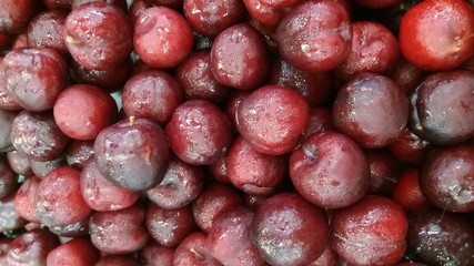 Plum