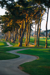 Golf course illuminated by the setting sun