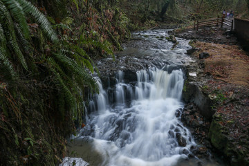 Waterfall in Balch Creek in Forest Park, Portland, Oregon