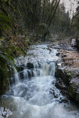 Waterfall on the Lower MacLeay Trail in Forest Park, Portland, Oregon