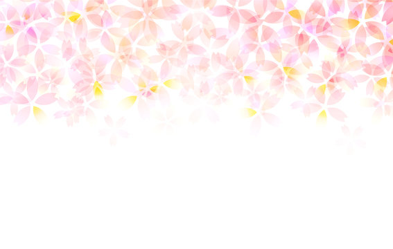 桜　春　花　背景 