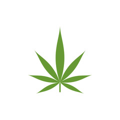 Hemp leaf icon
