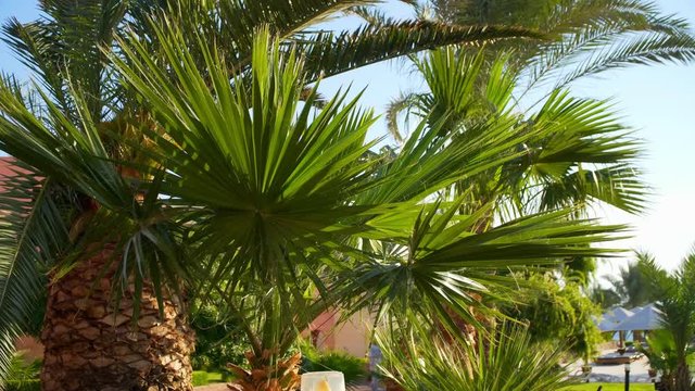 Egypt Dahab hotel