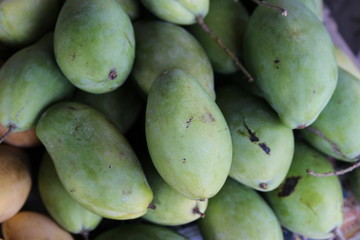 fresh organic green mango,  fruits pile for sale in Baan Ton Tan Floating Market, Sao Hai, Saraburi, Thailand