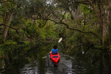 Adventurous girl kayaking on a river covered with trees. Taken in Chassahowitzka River, located...