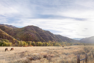 utah field and mountain range with autumn trees in the fall