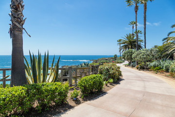 Fototapeta premium A Day in Laguna Beach, California