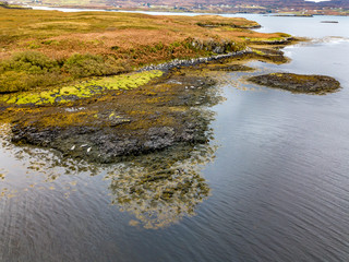 Aerial view of seal colony in Scotland - UK