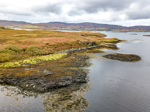 Aerial view of seal colony in Scotland - UK