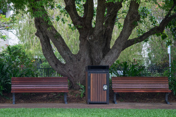 Empty park bench underneath the canopy of a tree