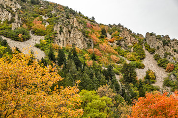 Utah's Colorful Autumn