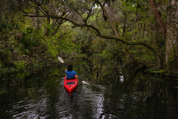 Adventurous girl kayaking on a river covered with trees. Taken in Chassahowitzka River, located West of Orlando, Florida, United States.