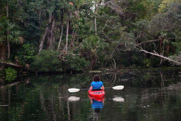 Fototapeta na wymiar Adventurous girl kayaking on a river covered with trees. Taken in Chassahowitzka River, located West of Orlando, Florida, United States.