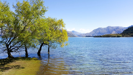 This is a view of Wanaka lake in New Zealand. This is a peaceful place for picnic, relaxing, escaping from work, and nature lovers. The place has clear blue sky, clean and pure lake and mountains.