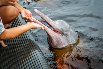 Cities of Brazil - Novo Airao, Amazonas - Anavilhanas National Park