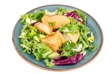 Concept of healthy food. Salad with green leaves and boiled salmon