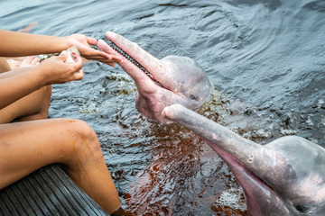 Cities of Brazil - Novo Airao, Amazonas - Anavilhanas National Park