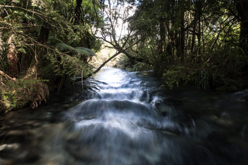 A fast flowing river in Waikato, New Zealand. This image represents energy, fast, speed, direction, goals, moving forward and motion. It is suitable for background use. It was taken in a forest.