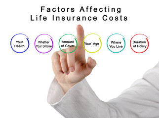 Fototapeta premium Factors Affecting Life Insurance Costs